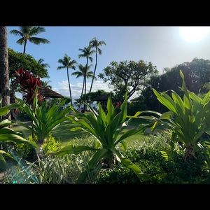 Meet your Posher, Mandy marie